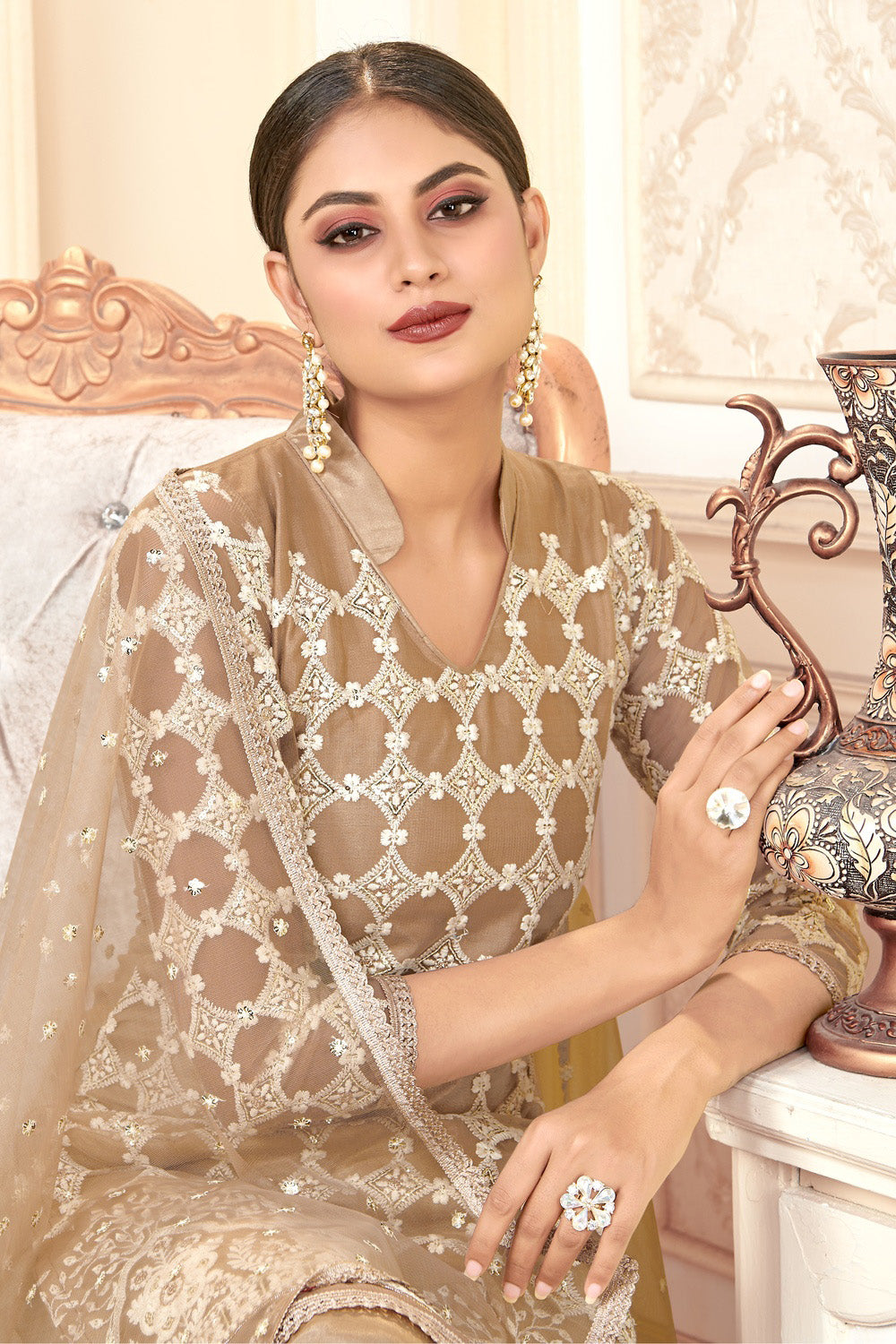 Dark Beige Net With Embroidery Work Salwar Suit