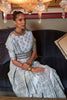 Gray Kashmiri Silk Saree With Handloom Weaving