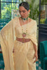 Cream Chicankari Saree With Lucknowi Weaving