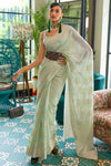 Baby Green Chicankari Saree With Lucknowi Weaving