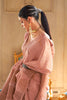 Peach Tissue Saree With Handloom Weaving Work