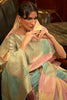 Light Pista Organza Silk Sequence Saree with Designer Blouse