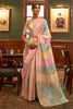 Light Pista Organza Silk Sequence Saree with Designer Blouse