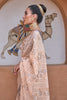 Light Pink  Pure Tissue silk with Beautiful Designer blouse & Patola Print